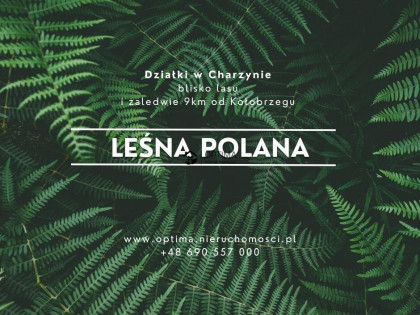 Działka Charzyno