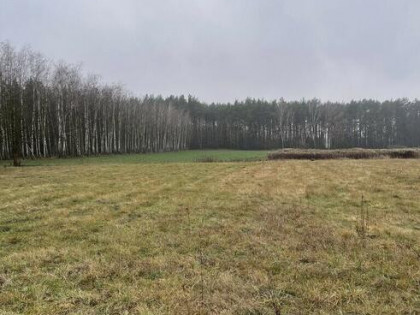 Działka bud. 4113 m² w Sierakowie koło Radzymina.