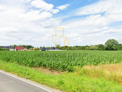 Szukalice, Żórawina, działka inwestycyjna 43,10 ha