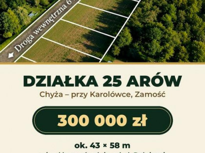 Działka 25 arów z WZ – Zamość, Karolówka, Rolnicza