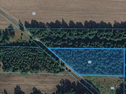 Na sprzedaż działki rolne z lasem 10,68ha