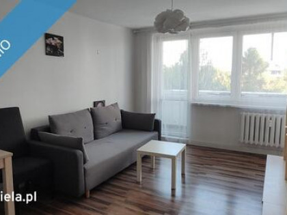 Do wynajęcia mieszkanie 2 pokoje z balkonem 49m2 Os. Tysiąclecia Katowice