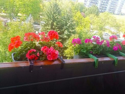 Sprzedam mieszkanie 2 pokojowe/38 m2/Balkon/Winda