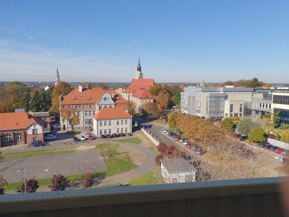 Mieszkanie do wynajecia