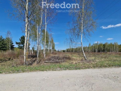 Działka marzeń – cisza i natura