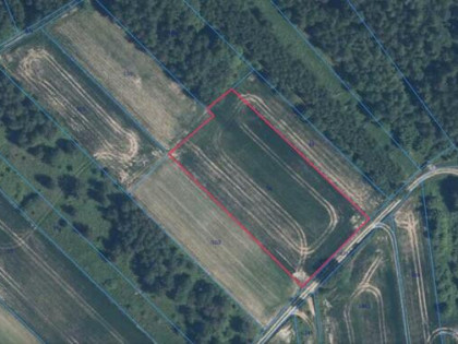 Działka rolna 46 a Biały Kościół Ojcowski Park Narodowy