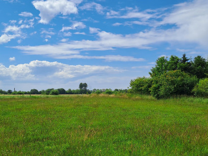 Działka Czernin