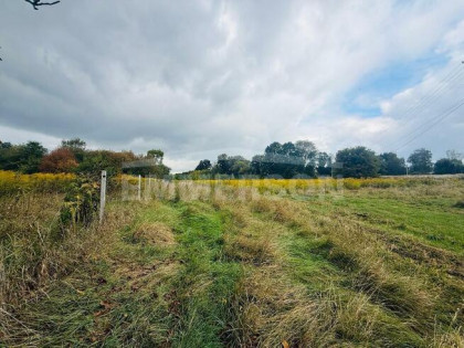 5300m2/możliwy podział/inwestycyjna
