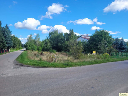 Działka Krynka
