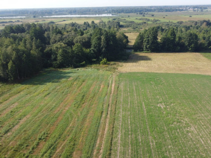 Piękna działka rolno-budowlana, Żminne, Parczew.