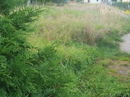 Działka budowlana 12 ar Podgórze na sprzedaż.