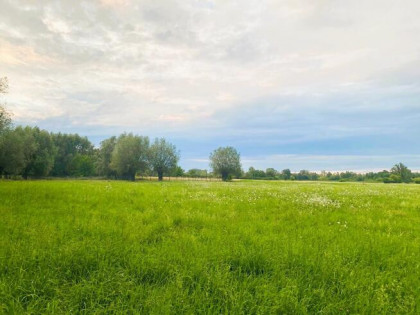 Nieruchomość 16 650 m2 działki budowlane i rolna