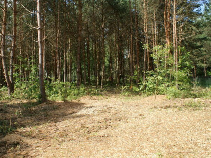 Sprzedam działkę rekreacyjną 29a w Czerwonej Woli, Sieniawa