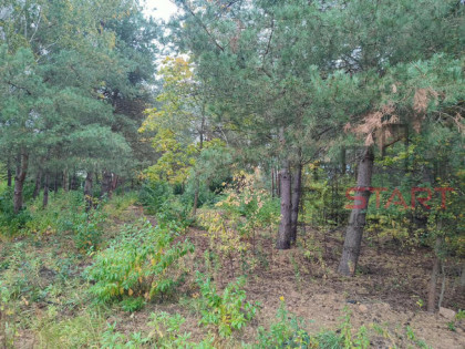 Działka budowlana Łoś gm. Prażmów,