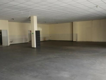 Lokal użytkowy Radom, Królowej Jadwigi
