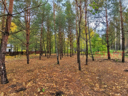 Działka inwestycyjna Książenice gm. Grodzisk Mazowiecki,