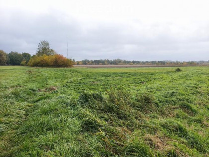 Walendów, działka 3676 m², mpzp, szybki dojazd do Warszawy