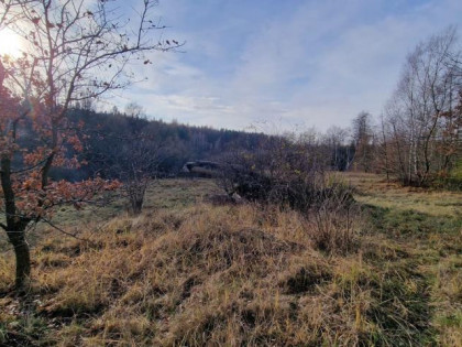 Działka Dąbrowa Górnicza Sikorka