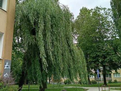 28 m² z dużym potencjałem! Jasne, ustawne mieszkanie | Łódź,