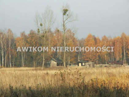 Działka rolna Skierniewice Borowiny