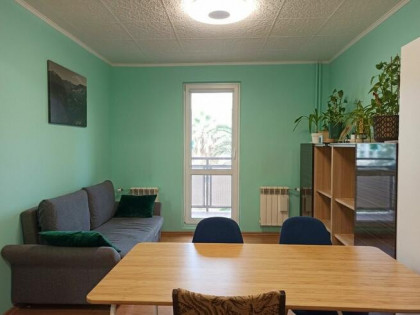 Mieszkanie 3 pokoje Poznań 52,6 m2 Malta Nowe Miasto Śródka