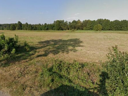 Działka - Niwiski, gm. Mokobody