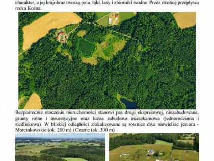 Syndyk sprzeda niezabudowaną nieruchomość gruntowaną Patryki