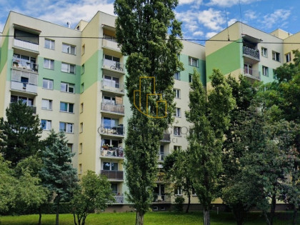 2 pokoje | Wrocław Nowy Dwór | wysoki parter