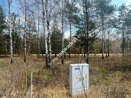 Piękna działka Tłumy gm. Mszczonów Okazja !!