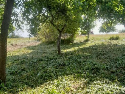 Wyjątkowe siedlisko z potencjałem – Pniewo, 3027 m²