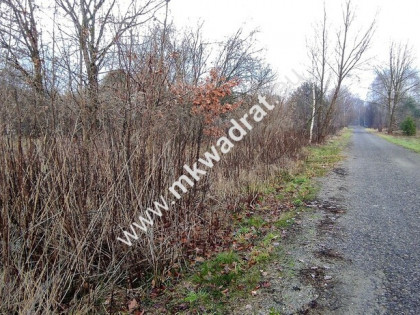 ⭐⭐⭐⭐  Działa 1123 m MPZP media Budy Grzybek   ⭐⭐⭐⭐