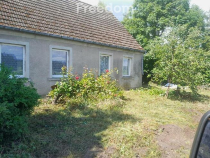 Wyjątkowe siedlisko z potencjałem – Pniewo, 3027 m²