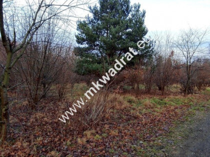 ⭐⭐⭐⭐  Działka Budowlana 1303 m Budy Grzybek ⭐⭐⭐⭐