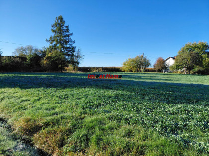 Działka Dębowiec