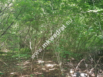 Działka budowlana 1 305 m², asfaltowy wjazd, prąd