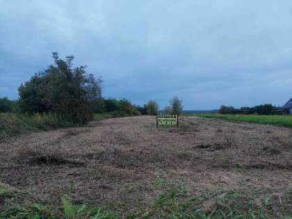 Działka nad jeziorem Tarnobrzeskim