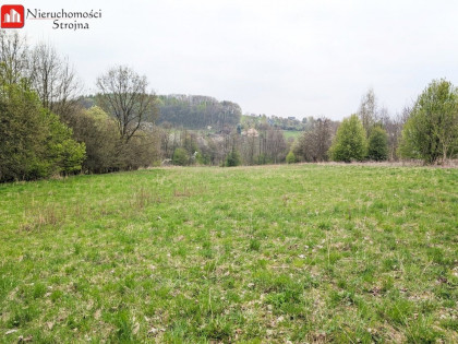 Działka Sułków