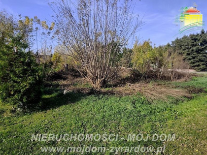 Działka Guzów