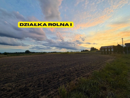Działki rolne | 2.63 ha | Chełm Śląski | NJ INVESTMENT