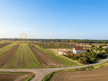 Działka budowlana Moszowice gm. Kotla,