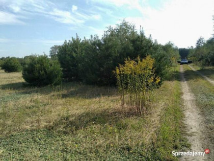 Działka budowlana gm. Aleksandrów Łódzki - Ciężków
