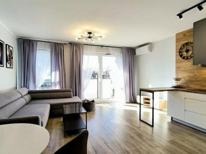 Wynajmę 3 pokoje, pet friendly, Chrobrego 14