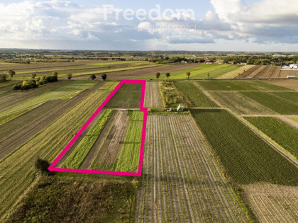 Inwestycyjna działka 1,5 ha Wólka Smoszewska