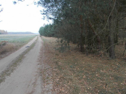 sprzedam działkę 78 ary z pozwoleniem zabudowy