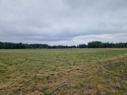 Działki Budowlane Warząchewka Królewska od 1200mkw do 5000