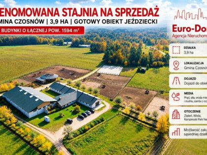 Stajnia z dużym potencjałem