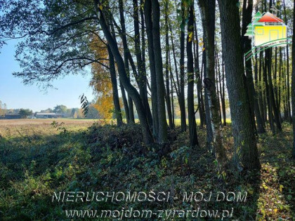 Działka Radziwiłłów