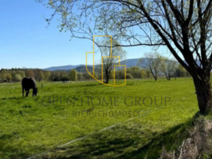 Ściegny gm. Podgórzyn, działki budowlane ok. 1098 m2