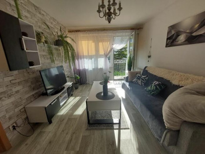 Sprzedam mieszkanie w bloku na parterze 50m²