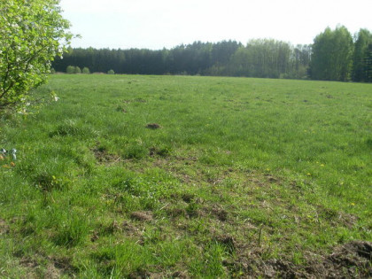 Mszczonów Gurba ul. Główna 11 800 mkw – 28 zł/m2